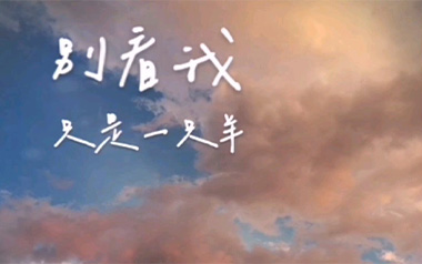 别看我只是一只羊吉他谱