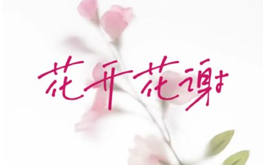花开花谢花漫天吉他谱